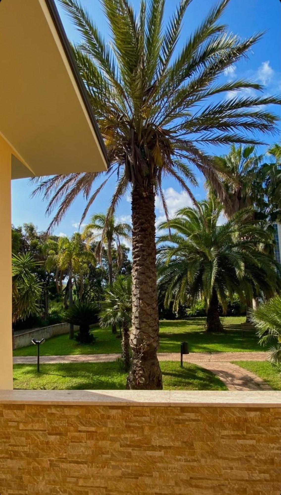 San Michele Apartments&Rooms Catanzaro Ngoại thất bức ảnh